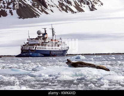 Admiralty Bay, King George Island; Dichtung; Meer Antarktis Leopard Leopard; Hydrurga leptonyx; und Ocean Abenteurer Kreuzfahrtschiff; Antarktis Stockfoto