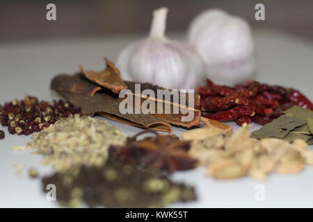 Indische Gewürze Garam Masala/Kochen/Zutat Stockfoto