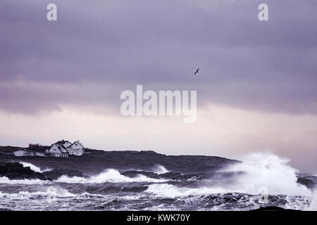 Überschwemmungen in den Küstengebieten und riesige Wellen in das kleine, isolierte Trearddur Bay auf der Isle of Anglesey während Sturm Eleanor, Wales, Großbritannien Stockfoto