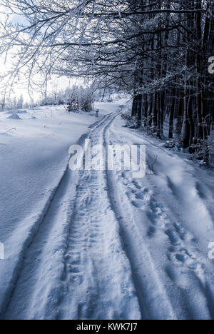 Winterlandschaft mit Schnee, Wanderweg und gefrorenen Bäume balg Veľká Rača Hügel in Beskiden auf Slowakisch-polnischen Grenzen Stockfoto