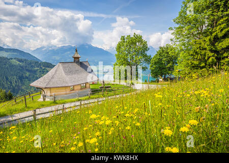 Die schöne Landschaft der Alpen mit Kapelle und grüne Wiesen voller blühender Blumen an einem sonnigen Tag mit blauen Himmel und Wolken im Frühling Stockfoto