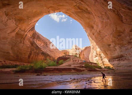 Weitwinkelansicht ein Wanderer mit Rucksack unter atemberaubende Jacob Hamblin Arch im Coyote Gulch, Grand Staircase - Escalante National Monument, Utah, USA Stockfoto