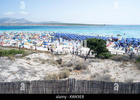 Panoramablick auf die Pelosa Strand in Stintino Sardinien in vollem touristischen Saison. Hunderte von Touristen in Scharen zu den schönen, aber kleinen Strand Stockfoto