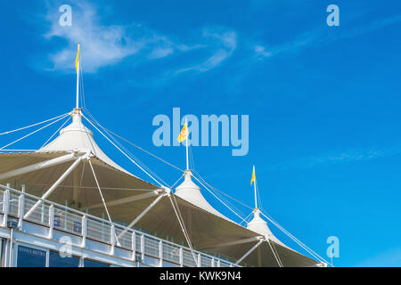 Goodwood racing Stockfoto