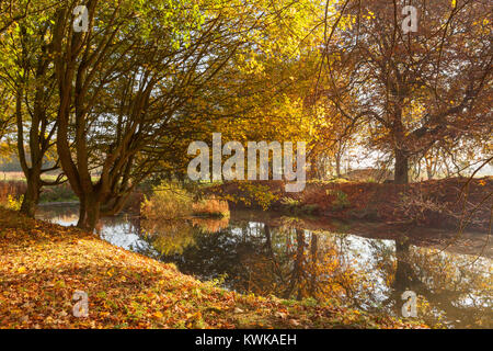 Hall Farm Garten, Köln, Lincolnshire, Großbritannien. Herbst, November 2017. Stockfoto