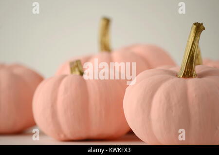 Blush Pink Kürbisse mit Gold beruht auf einem einfarbigen Hintergrund mit Kopie Raum Stockfoto