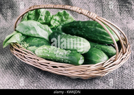 Korb mit Gurken auf Leinen. Stockfoto