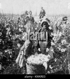 "Wir von e's allen dis-Mornin'." (Mädchen mit Ballen Baumwolle im Feld.), von Keystone View Company gereinigt Stockfoto