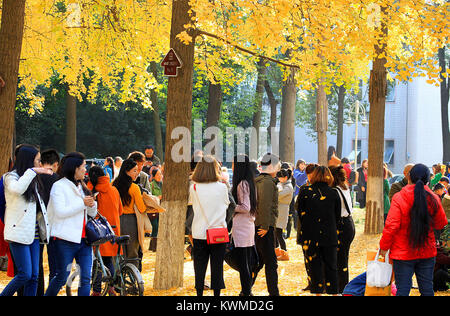 Chengdu Chengdu, China. 8 Dez, 2017. Chengdu, China - 8. Dezember 2017: (redaktionelle Verwendung. CHINA). Leute genießen, goldenen ginkgo Bäume in Chengdu, Provinz Sichuan im Südwesten Chinas. Credit: SIPA Asien/ZUMA Draht/Alamy leben Nachrichten Stockfoto