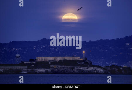 San Francisco, Kalifornien, USA. 1 Jan, 2018. Ein Vogel fliegt in der Nähe des supermoon, als es über die Insel Alcatraz in San Francisco, Kalifornien am 01 Januar, 2018. Diese supermoon, oder wolf mond, wie es auch genannt wird, scheint, 14 % heller und in der Sky größere aufgrund seiner Nähe zur Erde. Credit: Josh Edelson/ZUMA Draht/Alamy leben Nachrichten Stockfoto