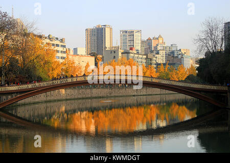 Chengdu Chengdu, China. 8 Dez, 2017. Chengdu, China - 8. Dezember 2017: (redaktionelle Verwendung. CHINA). Leute genießen, goldenen ginkgo Bäume in Chengdu, Provinz Sichuan im Südwesten Chinas. Credit: SIPA Asien/ZUMA Draht/Alamy leben Nachrichten Stockfoto