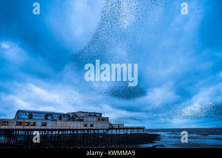 Aberystwyth Wales UK, Donnerstag, 04. Januar 2018 UK Wetter: Wie die kalte Jahreszeit nach Sturm Eleanor, Herden von Zehntausenden von Staren Rückkehr aus zur Nahrungsaufnahme ihre murmurations im Himmel durchzuführen, bevor sie absteigend unter dem markanten Meer von Aberystwyth Pier die Vögel fest zusammen für Wärme, Sicherheit und über Nacht Begleitung Unordnung zu Roost, die jedem Ersatzteil Zoll des Waldes von Träger und Balken unter den Fußböden der Pier. Photo Credit: Keith Morris/Alamy leben Nachrichten Stockfoto