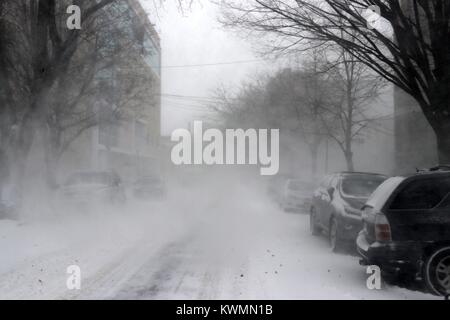 Die Bronx, New York, NY, USA. 4. Jan, 2018. Der erste Winter Storm, 2018 hat kam auf New York City mit White-out-Bedingungen, starker Wind und Schneegestöber, die täglichen Aktivitäten schwierig für viele. Stadt Regierung 'Winter Wetter Not' und fallen die Temperaturen in der kommenden Woche erwartet werden. © 2018 G. Ronald Lopez/DigiPixsAgain. us/Alamy leben Nachrichten Stockfoto