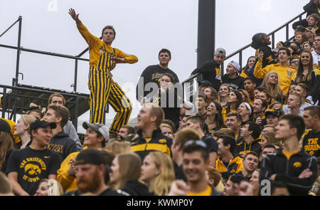 Iowa City, Iowa, USA. 1. Okt 2016. Iowa Ventilatoren Tanz bei einem Timeout an Kinnick Stadium in Iowa City am Samstag, 1. Oktober 2016. Die nordwestlichen Wildkatzen besiegten die Iowa Hawkeyes 38-31. Credit: Andy Abeyta/Viererkabel - Zeiten/ZUMA Draht/Alamy leben Nachrichten Stockfoto