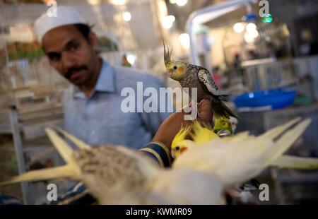 Doha, Katar. 3 Jan, 2018. Ein Händler verkauft Vögel in einem Markt (Souq Waqif) in Doha, Katar, vom 3. Januar 2018. Zwischen 2. Januar und dem 7. Januar 2018, die Mannschaft des FC Bayern München wird die Vorbereitung für die restliche Saison im Trainingslager in Katar. Credit: Sven Hoppe/dpa/Alamy leben Nachrichten Stockfoto