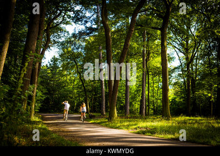 Mann und Frau Radfahren von der Kamera weg durch einen grünen Wald entlang einem Feldweg im Sommer Stockfoto