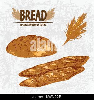 Digital Color Vector ausführliche Line Art golden Brote, Brötchen und Baguettes, Weizen Hand gezeichnet retro Abbildung. Dünne skizzieren. Jahrgang Tinte Stock Vektor