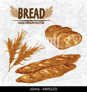Digital Color Vector ausführliche Line Art golden Brote ciabatta Brot, Baguettes, Weizen Hand gezeichnet retro Abbildung. Dünne skizzieren. Jahrgang i Stock Vektor