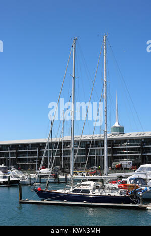 Jachten und andere kleine Boote in Chaffers Marina mit Clyde Quay Wharf Apartments hinter in den Hafen von Wellington, Wellington, Nordinsel, Neuseeland. Stockfoto