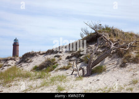 Leuchtturm und Dünen mit Gras an der marram arsser 'Dort', Prerow, Fishland, Mecklenburg-Vorpommern, Ostsee, Deutschland, Europa Stockfoto