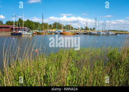 Hafen von Wustrow, Fishland, Mecklenburg-Vorpommern, Ostsee, Deutschland, Europa Stockfoto