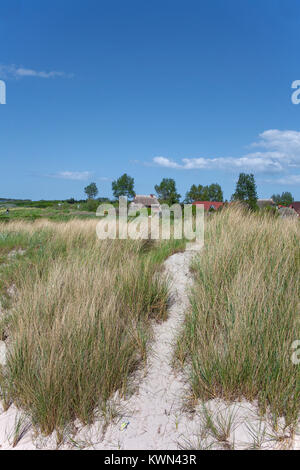 Pfad zwischen Sanddünen und marram Gras, Strand in Wustrow, Fishland, Mecklenburg-Vorpommern, Ostsee, Deutschland, Europa Stockfoto