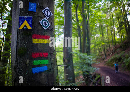 Trail Markierungen in der Nähe der Französischen Grenze in der Nähe von nothweiler Pfalz Deutschland Stockfoto