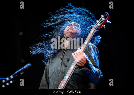 Die US-amerikanische Rockband Alice in Chains führt ein Live Konzert in der jährlichen Dänische Heavy Metal Festival Copenhell 2013. Hier Bassist Mike Inez wird dargestellt, live auf der Bühne. Dänemark 14/06 2013. Stockfoto