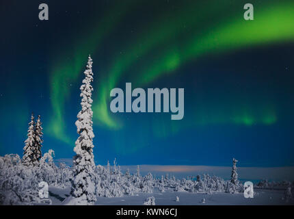 Wirbelnde Beleuchtung über dem arktischen Winter Night Sky Stockfoto