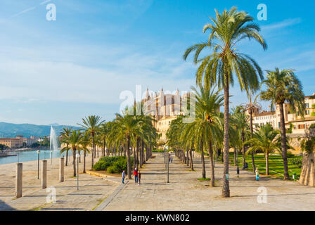 Parc de la Mar, Palma, Mallorca, Balearen, Spanien Stockfoto