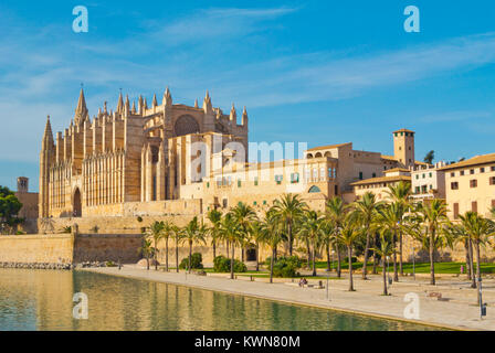 La Seu, der Kathedrale und Parc de la Mar, Palma, Mallorca, Balearen, Spanien Stockfoto