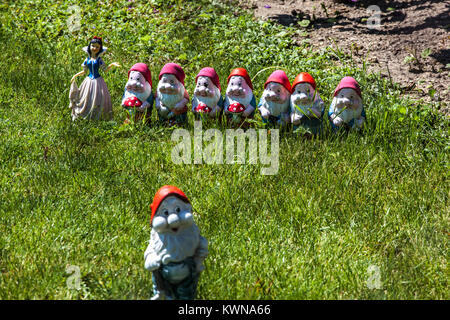 Schneewittchen und die sieben Zwerge, aber eher acht, kleine Gartenzwerge und Lady Stockfoto