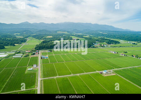 Ishikari schlicht und Fluss Ishikari Kabato Urausu, Stadt, Bezirk, Hokkaido, Japan Stockfoto