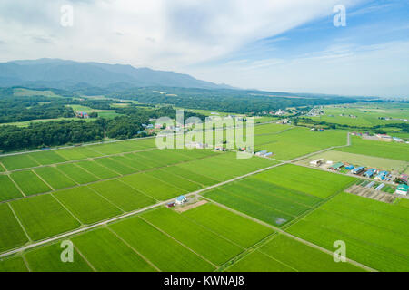 Ishikari schlicht und Fluss Ishikari Kabato Urausu, Stadt, Bezirk, Hokkaido, Japan Stockfoto