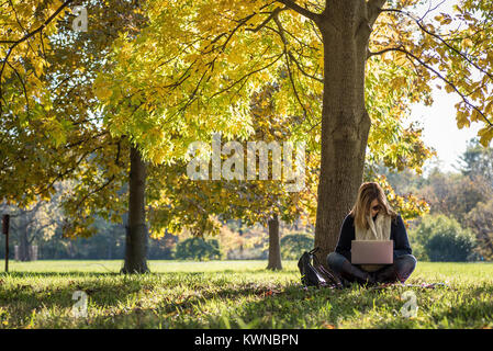 Sitzende Person unter Baum im Park Arbeiten am Laptop an sonnigen Herbst Tag Stockfoto