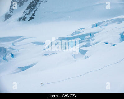 Alpine ski Bergsteiger ski Downhill in der Antarktis Stockfoto