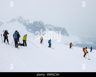 Skitourengeher roped gemeinsam für Sicherheit von gletscherspalten verwenden synthetische Felle auf Skiern den Berg hinauf zu klettern; Antarktis Stockfoto