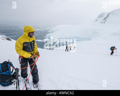 Skitourengeher roped gemeinsam für Sicherheit von gletscherspalten verwenden synthetische Felle auf Skiern den Berg hinauf zu klettern; Antarktis Stockfoto