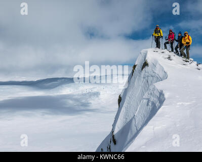 Skitourengeher roped gemeinsam für Sicherheit von gletscherspalten verwenden synthetische Felle auf Skiern den Berg hinauf zu klettern; Antarktis Stockfoto