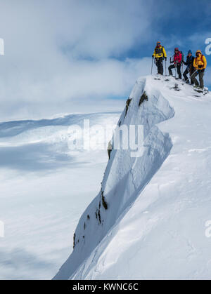 Skitourengeher roped gemeinsam für Sicherheit von gletscherspalten verwenden synthetische Felle auf Skiern den Berg hinauf zu klettern; Antarktis Stockfoto