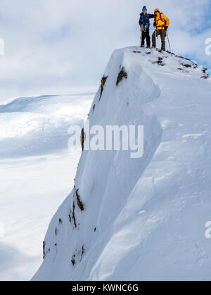 Skitourengeher roped gemeinsam für Sicherheit von gletscherspalten verwenden synthetische Felle auf Skiern den Berg hinauf zu klettern; Antarktis Stockfoto