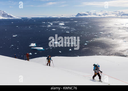 Skitourengeher roped gemeinsam für Sicherheit von gletscherspalten verwenden synthetische Felle auf Skiern den Berg hinauf zu klettern; Rongé Island; Arctowski Halbinsel; Antarktis Stockfoto