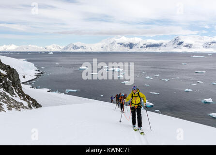 Skitourengeher roped gemeinsam für Sicherheit von gletscherspalten verwenden synthetische Felle auf Skiern den Berg hinauf zu klettern; Rongé Island; Arctowski Halbinsel; Antarktis Stockfoto