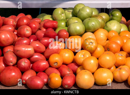 Bunte Farm Fresh Bio Tomaten auf dem Tisch draußen im Markt im Sommer Stockfoto