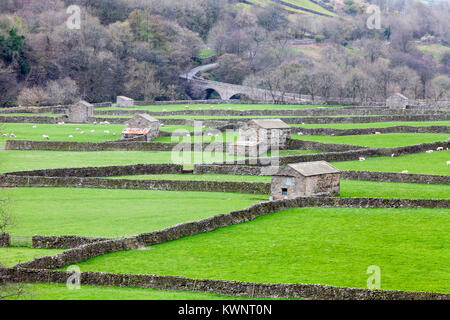 Ein Querformat Blick auf alte Scheunen und Trockenmauern in der Nähe von Gunnerside in Swaledale, innerhalb der Yorkshire Dales National Park. Stockfoto