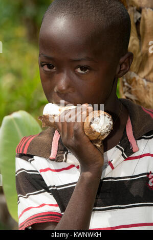 Kind, rohe Maniokwurzel, Ruanda. Stockfoto