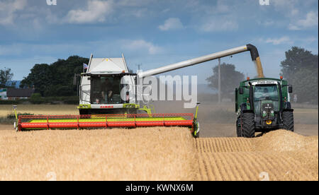 Claas Lexikon 760 Mähdrescher Füllung Trailer mit Getreide, bei der Ernte von einem Fendt Vario 820 gezogen, North Yorkshire, UK. Stockfoto