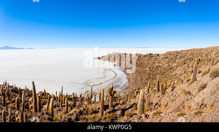 Cactus Insel im Salar de Uyuni (Salzsee) in der Nähe von Uyuni, Bolivien Stockfoto