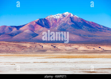 Ollague oder Ullawi ist ein massiver Andesit Stratovulkan in den Anden an der Grenze zwischen Bolivien und Chile. Stockfoto
