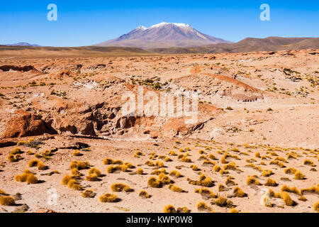 Ollague Vulkan, Ansicht von Osten, der bolivianischen Seite. Stockfoto